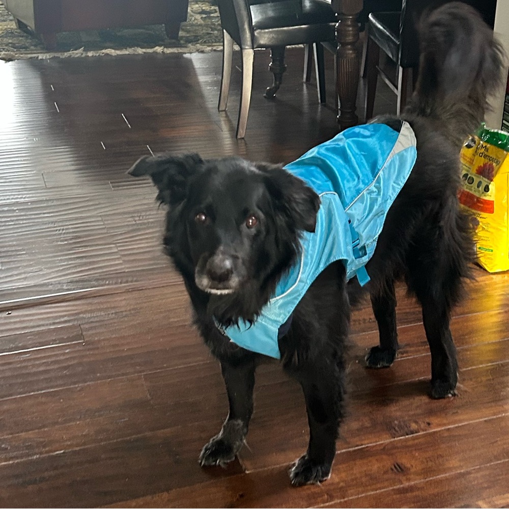 Dog’s North Country Coat.